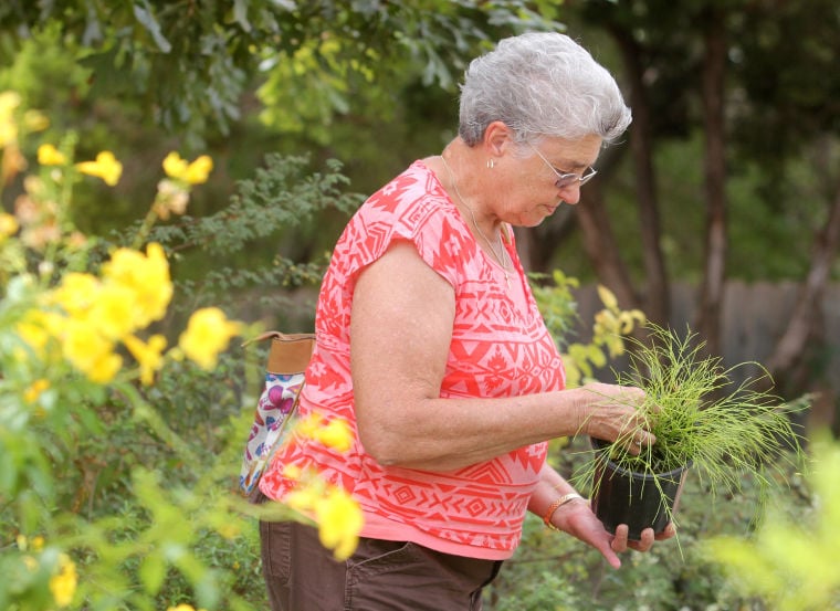 Wild Art - Gardening